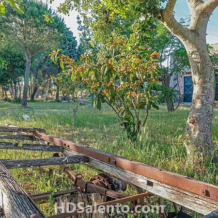 阿莱萨诺Masseria Macurano住宿加早餐旅馆 外观 照片