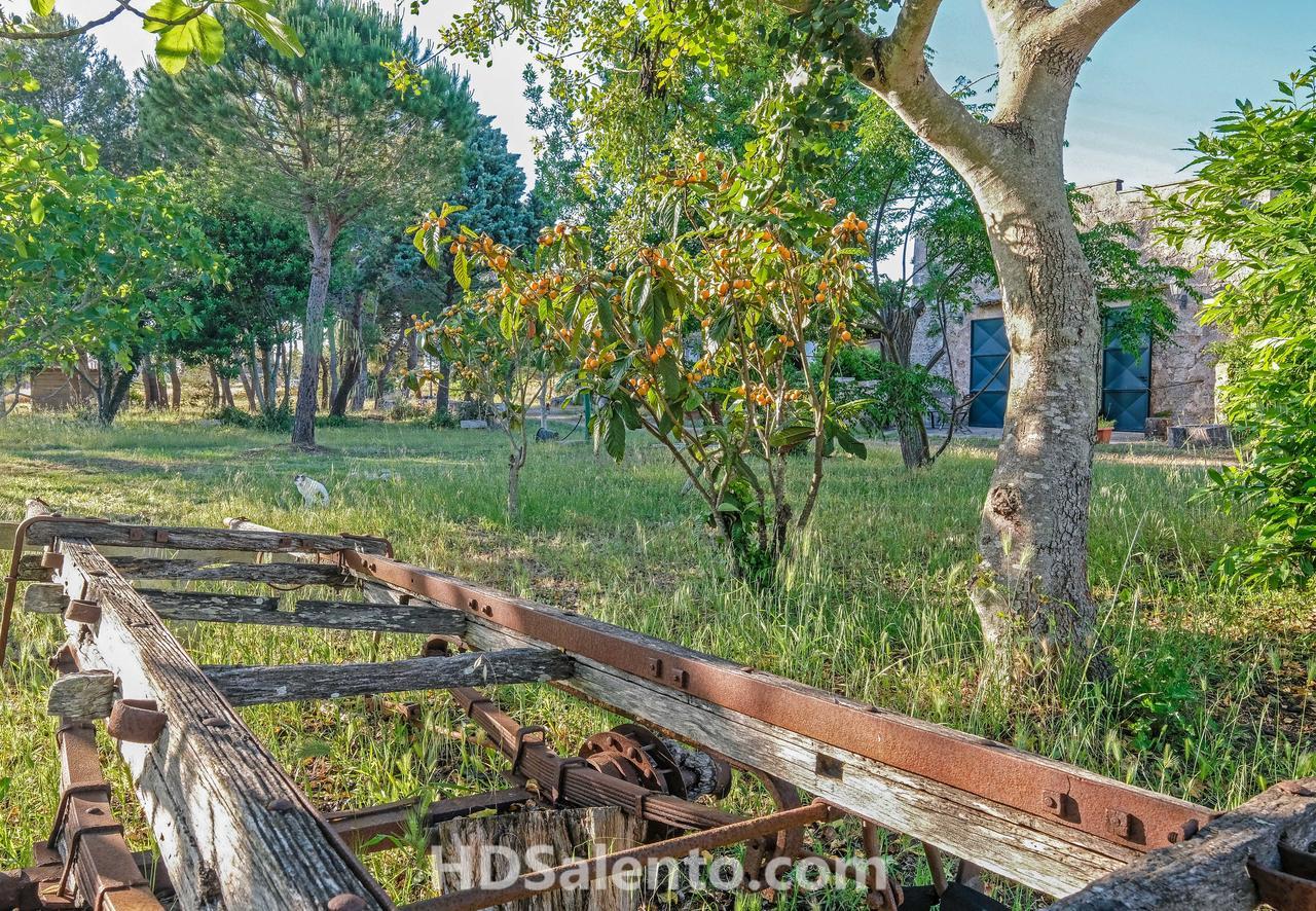 阿莱萨诺Masseria Macurano住宿加早餐旅馆 外观 照片