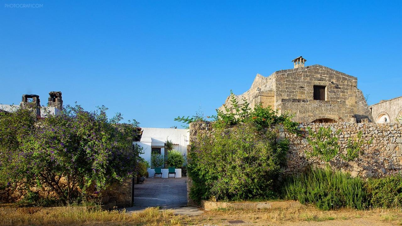 阿莱萨诺Masseria Macurano住宿加早餐旅馆 外观 照片